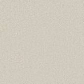 Graceful Ivory Carpet