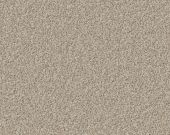 Ottawa Beige Carpet