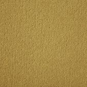 Crest Ochre Carpet