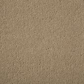 Major Alabaster Carpet