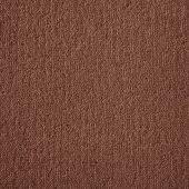 Major Squirrel Carpet