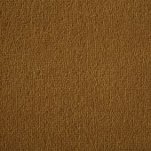 Westex Supreme Pumpkin Carpet