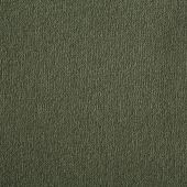 Westex Westend Asparagus Carpet