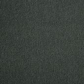 Westex Westend Platinum Carpet