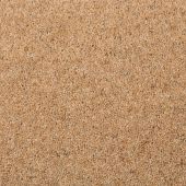 Swaledale Oak Tree Carpet