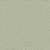 Carpetright Inscription Jade Carpet