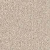 Carpetright Inscription Ash Carpet