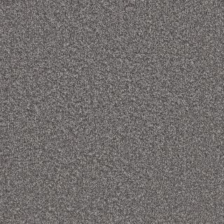 Insignia in slate