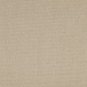 Country Living Scirocco Lichen Level Carpet