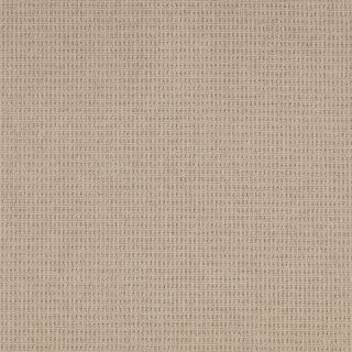 Parchment_Texture