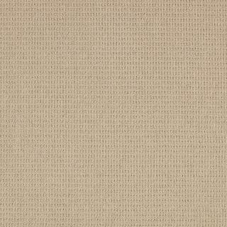 Sand Texture