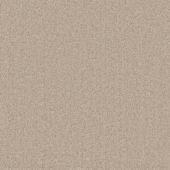 Starlight Beige Carpet