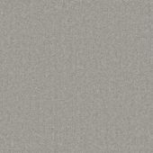 Starlight Silver Carpet