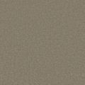 Motto Sage Carpet