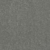 Lazio Dolphin Carpet