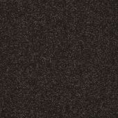 Lazio Chocolate Carpet