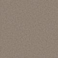 Durham Twist Tranquil Taupe Carpet