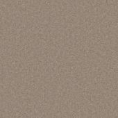 Country Living Philco Clay Carpet