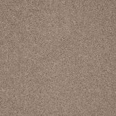 Montreal Cookie Carpet