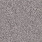 Sarah Platinum Carpet