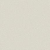 Oregon Lichen Carpet