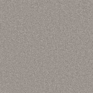 Steel
