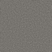 Duchess Slate Carpet