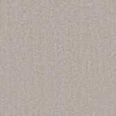 Fifth Avenue Silver Carpet