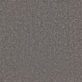 Fifth Avenue Gunmetal Carpet