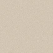 Fifth Avenue Cream Carpet