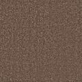 Fifth Avenue Russet Carpet