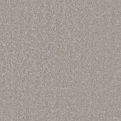 Fifth Avenue Ice Carpet