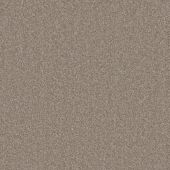 Valencia Birch Carpet