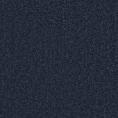 Valencia Navy Carpet