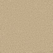 Four Seasons Biscuit Carpet