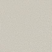 Four Seasons Cream Carpet