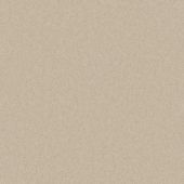 Highgate Sand Carpet