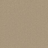 Highgate Taupe Carpet