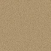 Highgate Gold Carpet