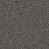 Gleneagles Gunmetal Carpet