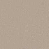 Parkmill Beige Carpet