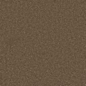 Pinehurst Autumn Carpet