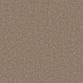 Pinehurst Chesnut Carpet