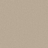 Pinehurst Beige Carpet