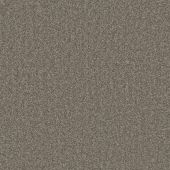 Pinehurst Stone Carpet