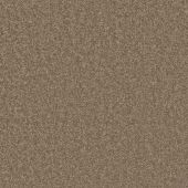 Pall Mall Suede Carpet