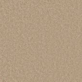 Pall Mall Beige Carpet