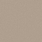 Rodeo Drive Cream Carpet