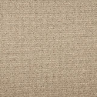 Beige Multi Stripe