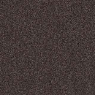 Devon Coal